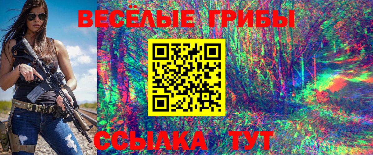 Альметьевск  Псилоцибиновые грибы прущие грибы  Вход с VPN 