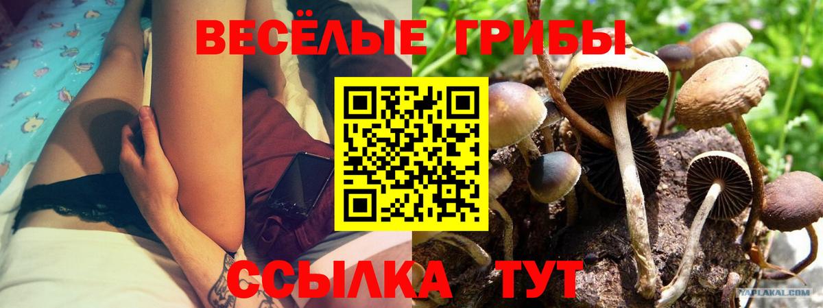 Галлюциногенные грибы MAGIC MUSHROOMS Альметьевск
